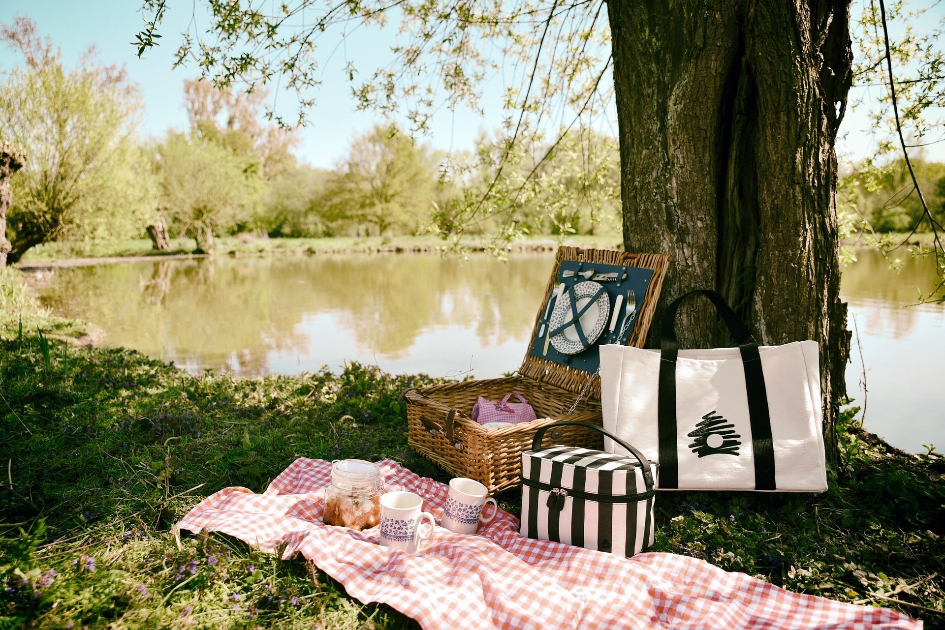 picnic
